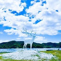 正やんさんのプロフィールアイコン