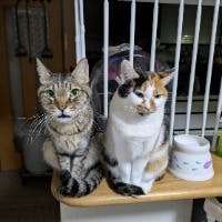 猛獣エディさんのプロフィールアイコン
