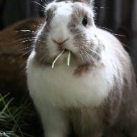 おかっちさんのプロフィールアイコン