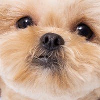 江嶋　崇浩さんのプロフィールアイコン