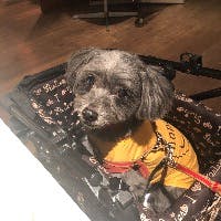 NeronJさんのプロフィールアイコン
