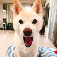 ぴろみんさんのプロフィールアイコン