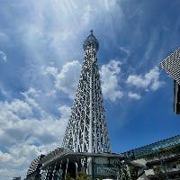 Temuさんのプロフィールアイコン