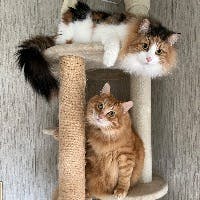 磯貝高志さんのプロフィールアイコン
