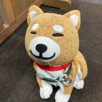 ちびたんさんのプロフィールアイコン