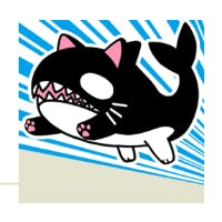 シャチぬこさんのプロフィールアイコン