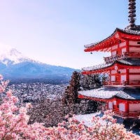 トリックさんのプロフィールアイコン