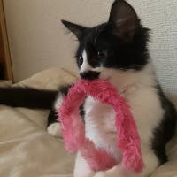 kanaさんのプロフィールアイコン