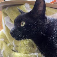 まきさんのプロフィールアイコン