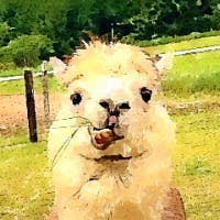 恵輔さんのプロフィールアイコン