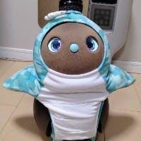 くまぞうさんのプロフィールアイコン