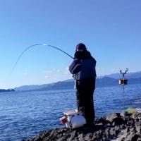 紀伊長島磯釣り師さんのプロフィールアイコン