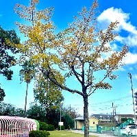 あんちゃんさんのプロフィールアイコン