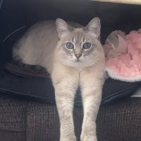 うるちゃんさんのプロフィールアイコン