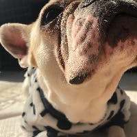 Maruさんのプロフィールアイコン